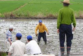 ���R�����߂�