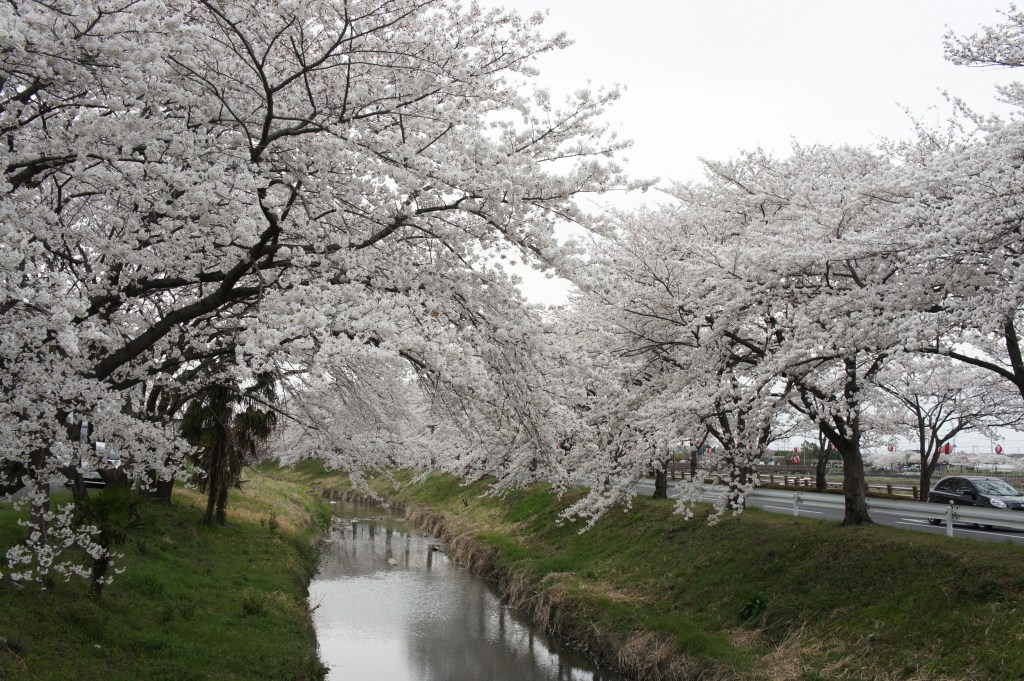 ���]�ˏ���