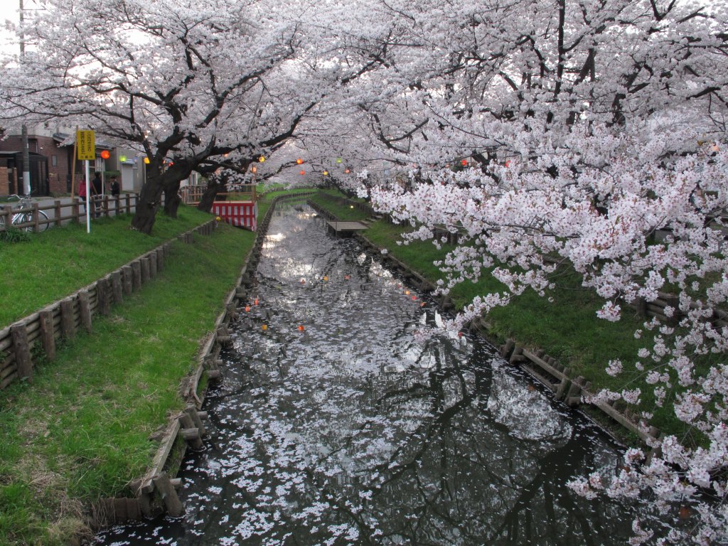 ���]�ˏ���