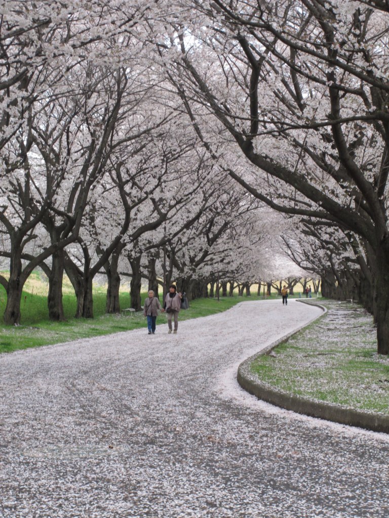 ���]�ˏ���