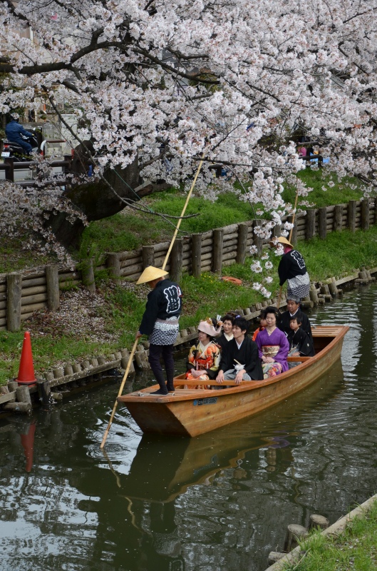 ���]�ˏ���