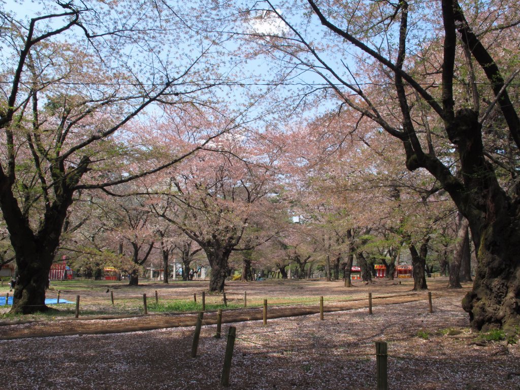 ���]�ˏ���