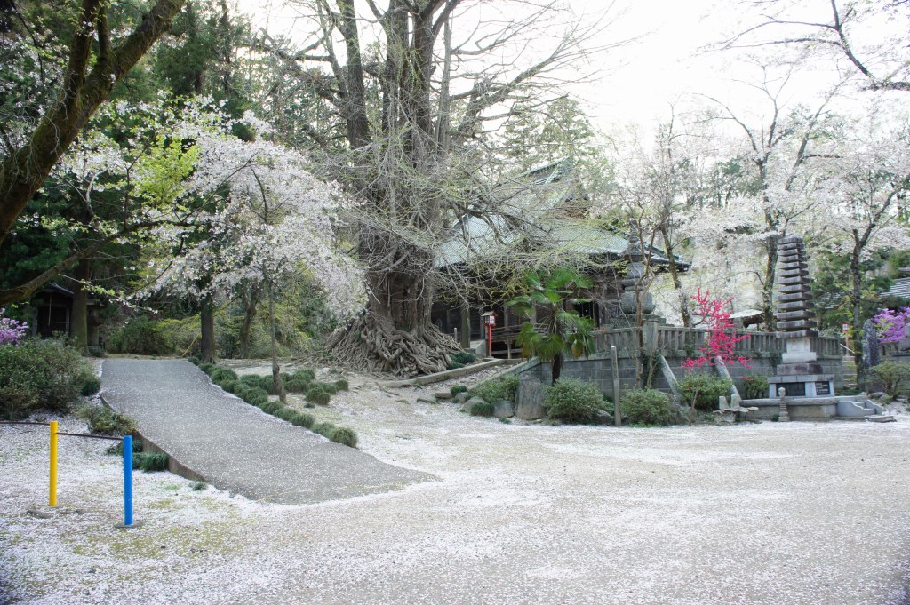 ���]�ˏ���