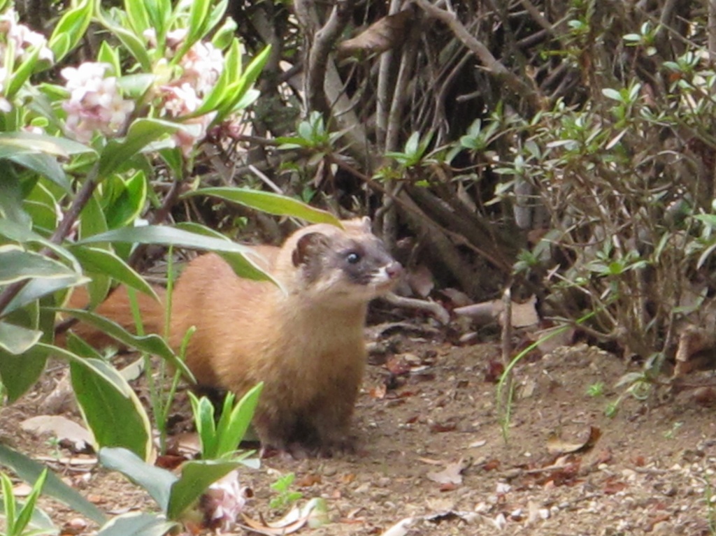 ���]�ˏ���