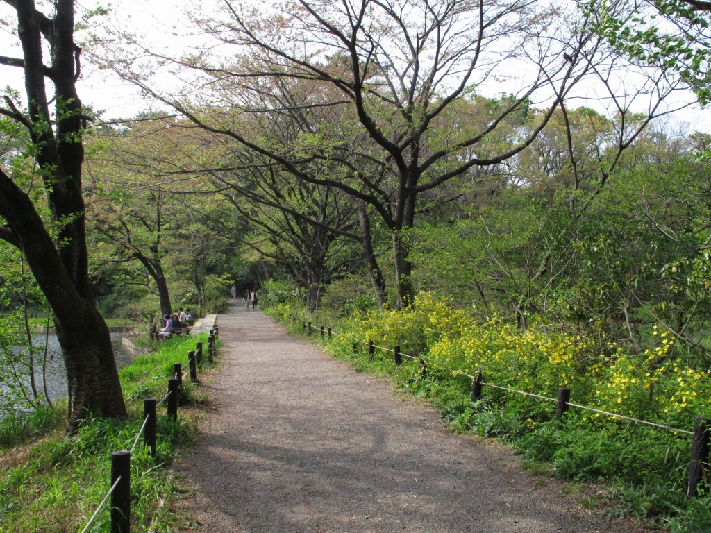 ���]�ˏ���