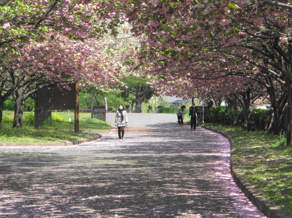 ���]�ˏ���