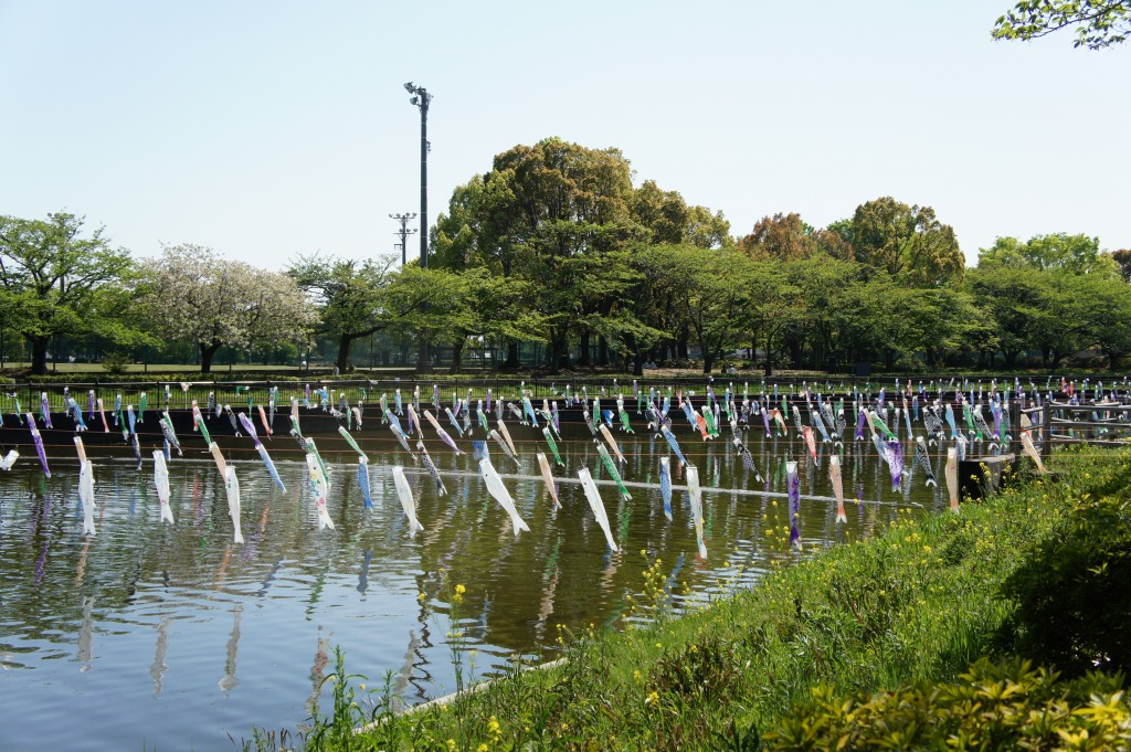 ���]�ˏ���