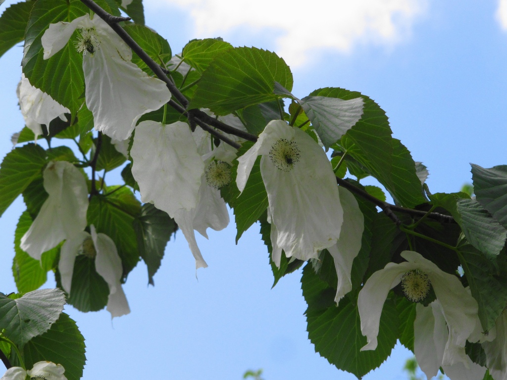 ���]�ˏ���