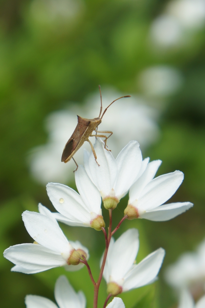 ���]�ˏ���