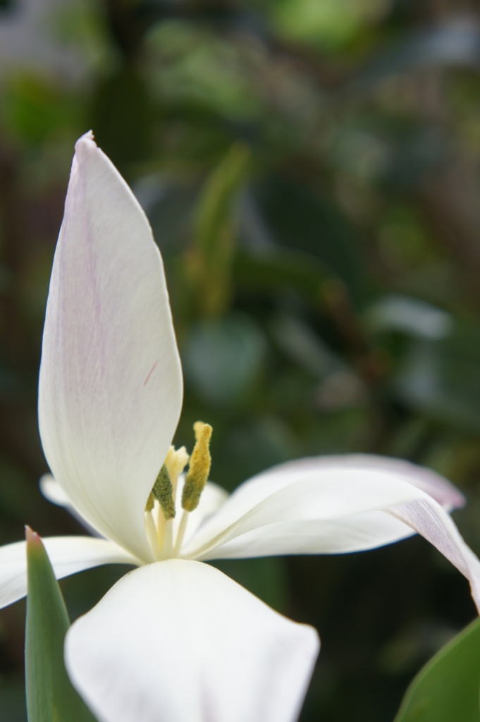 ���]�ˏ���