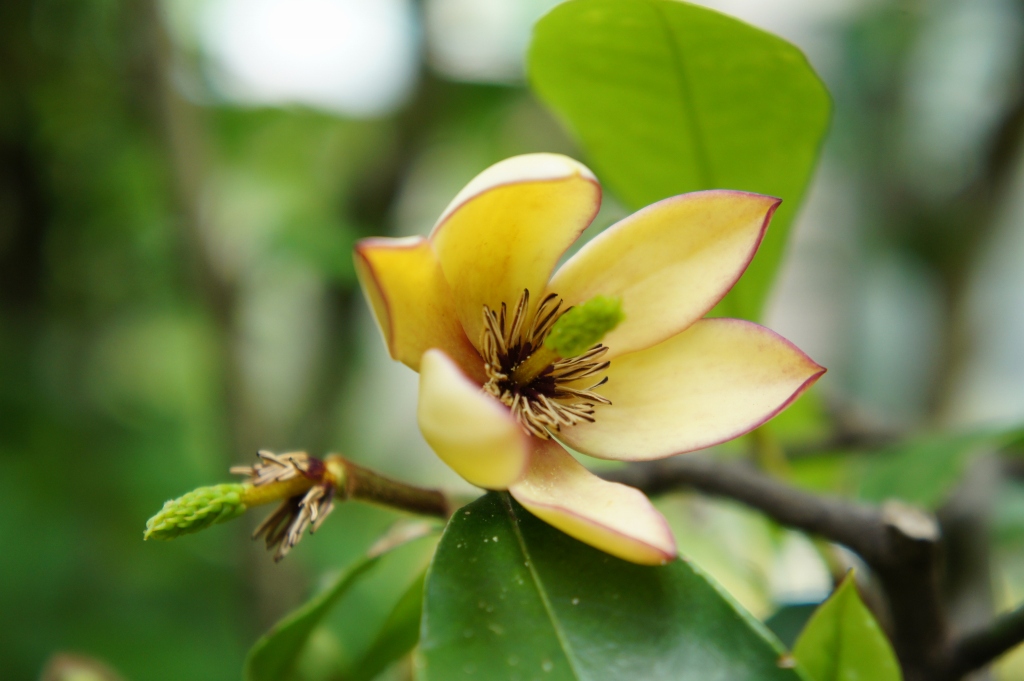 ���]�ˏ���