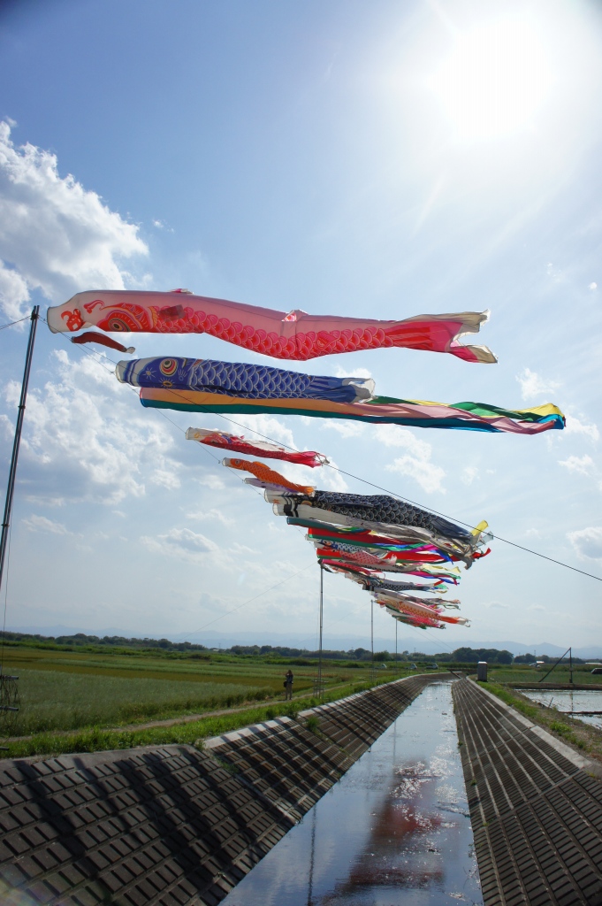 ���]�ˏ���