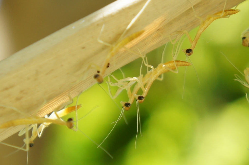 ���]�ˏ���