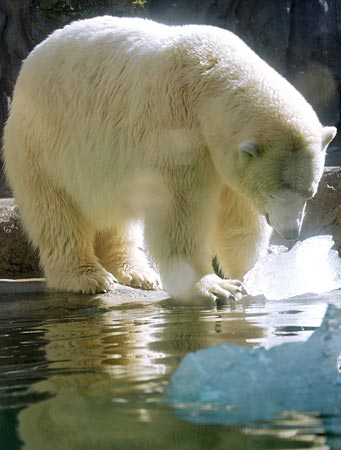 �΂��L�@��z�P�[�u���e���r��