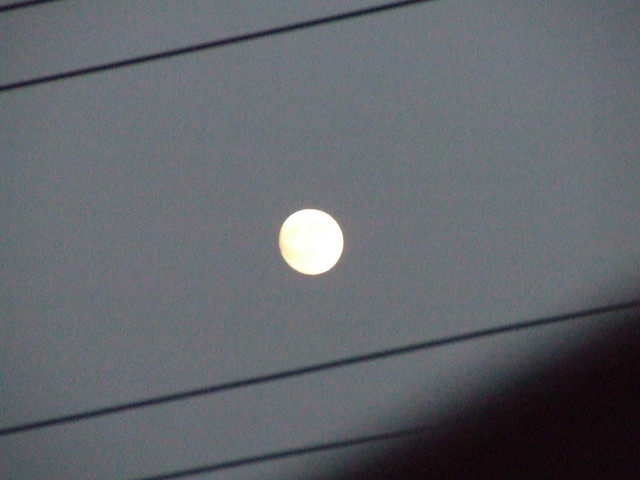 �΂��L�@��z�P�[�u���e���r��