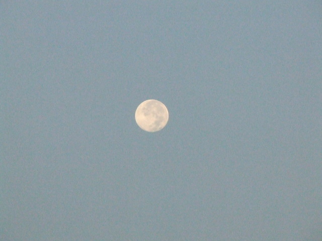 �΂��L�@��z�P�[�u���e���r��