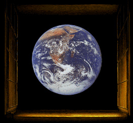 �΂��L�@��z�P�[�u���e���r��