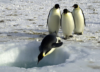 �΂��L�@��z�P�[�u���e���r��