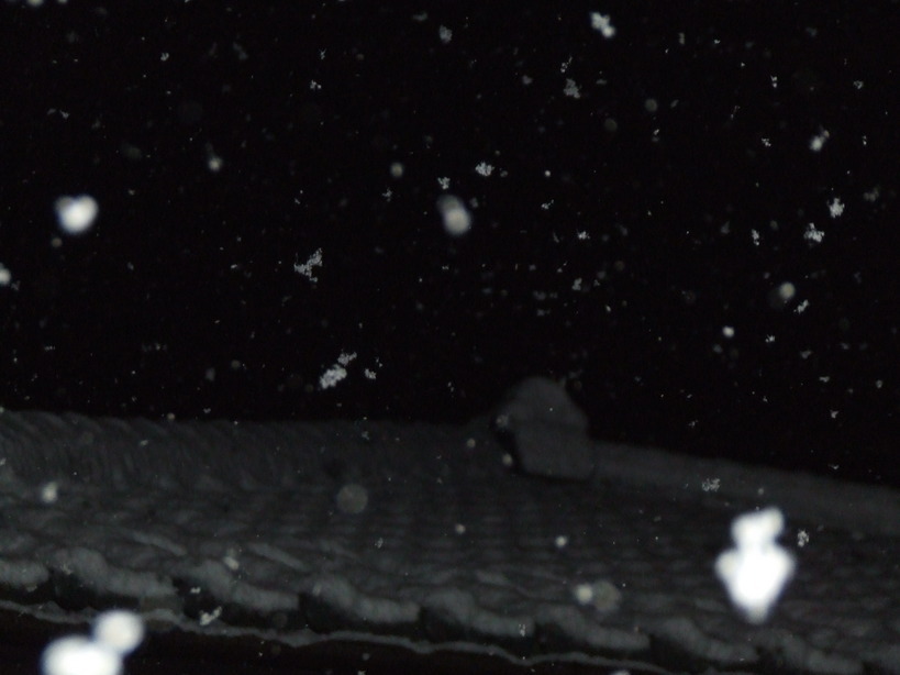 �΂��L�@��z�P�[�u���e���r��