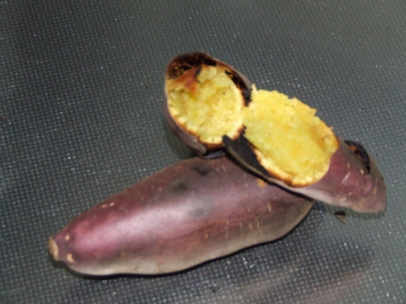 �΂��L�@��z�P�[�u���e���r��