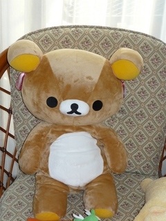 �΂��L�@��z�P�[�u���e���r��