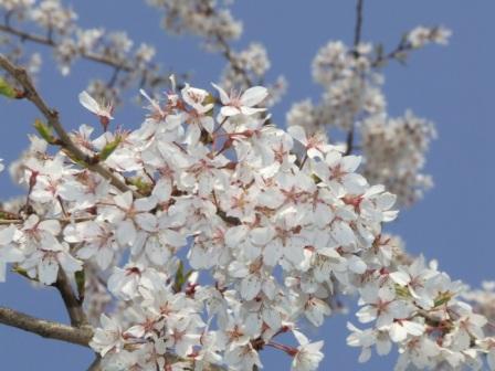 �΂��L�@��z�P�[�u���e���r��