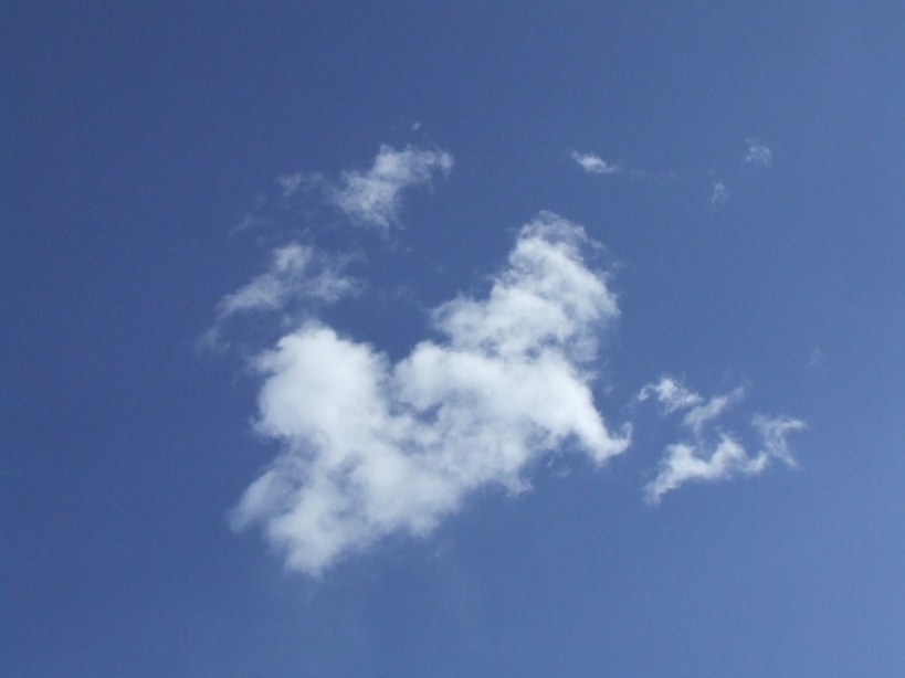 �΂��L�@��z�P�[�u���e���r��