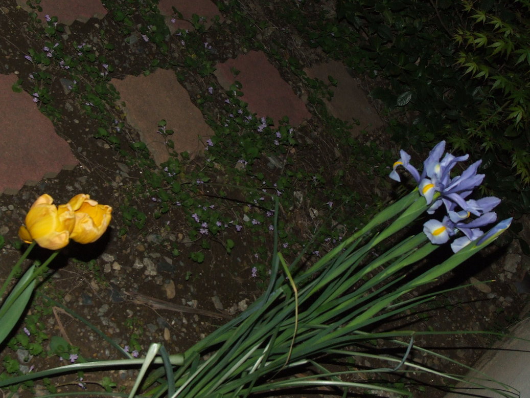 �΂��L�@��z�P�[�u���e���r��