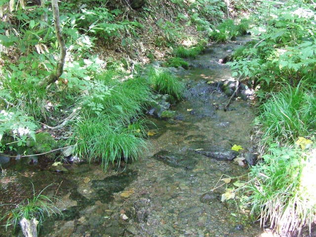 �΂��L�@��z�P�[�u���e���r��