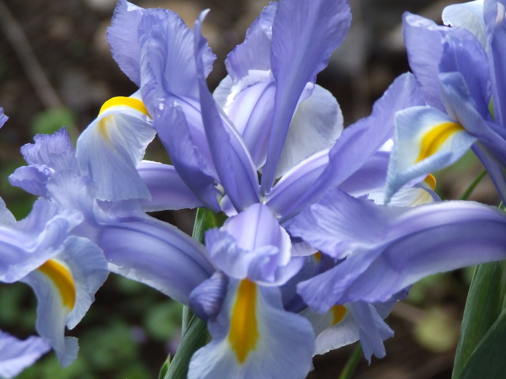 �΂��L�@��z�P�[�u���e���r��