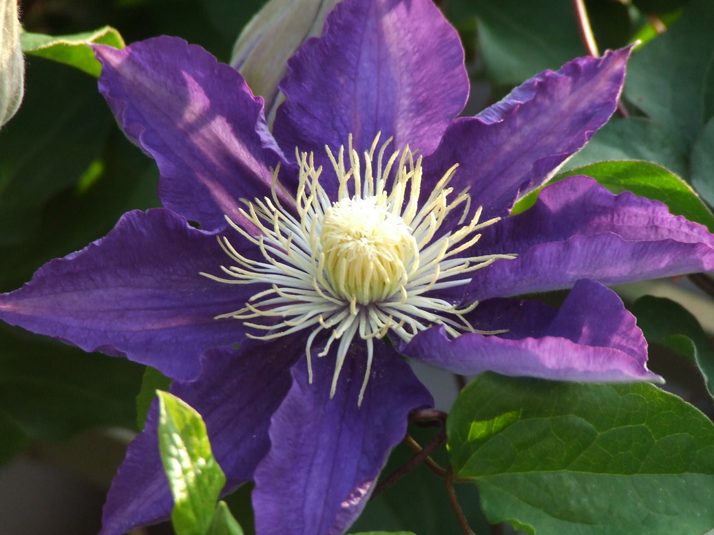 �΂��L�@��z�P�[�u���e���r��