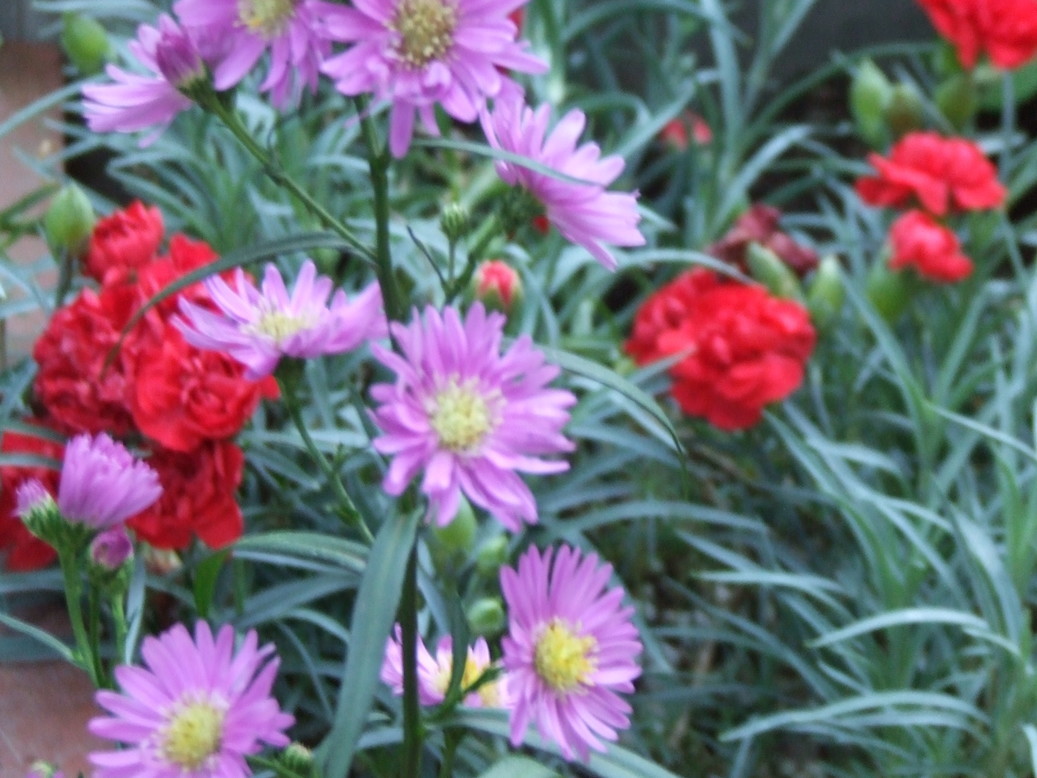 �΂��L�@��z�P�[�u���e���r��