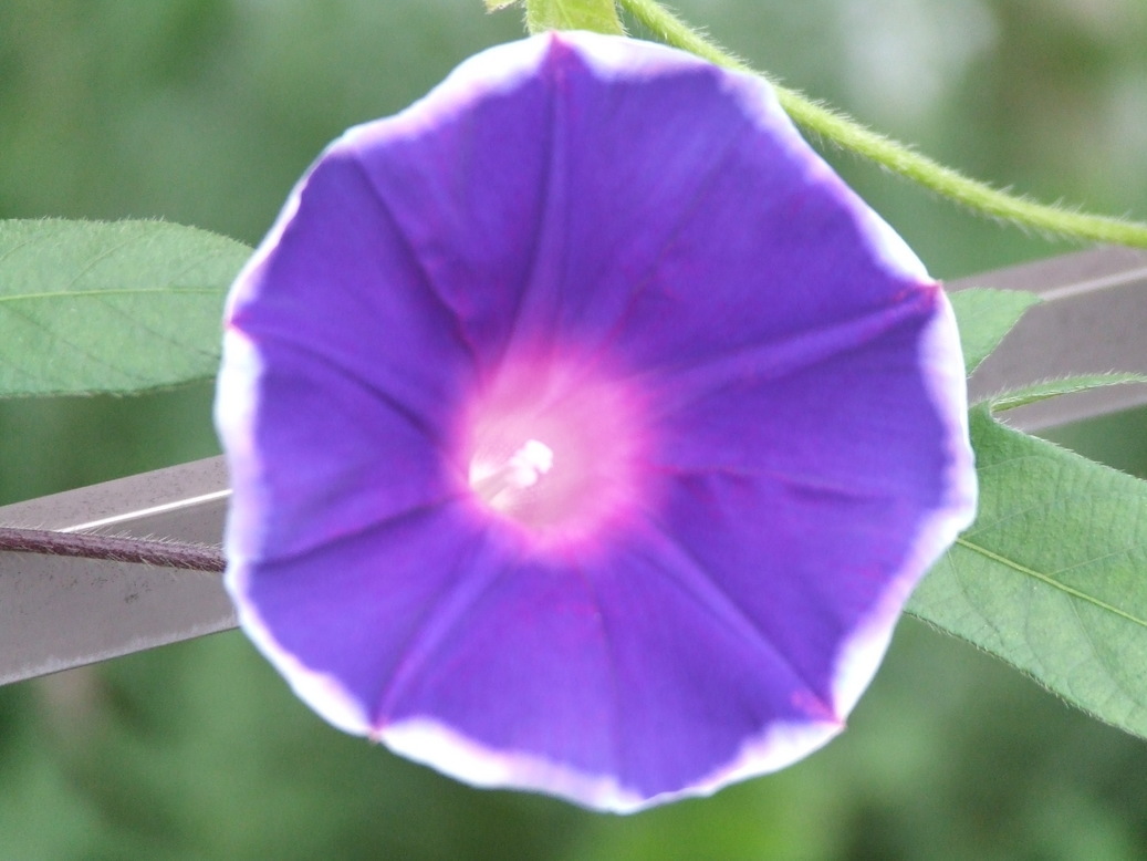 �΂��L�@��z�P�[�u���e���r��