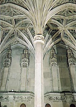 �΂��L�@��z�P�[�u���e���r��