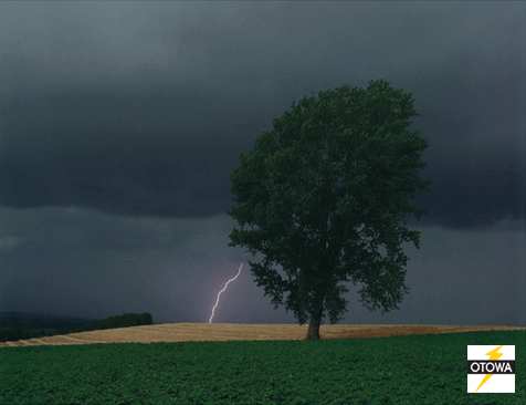 �΂��L�@��z�P�[�u���e���r��