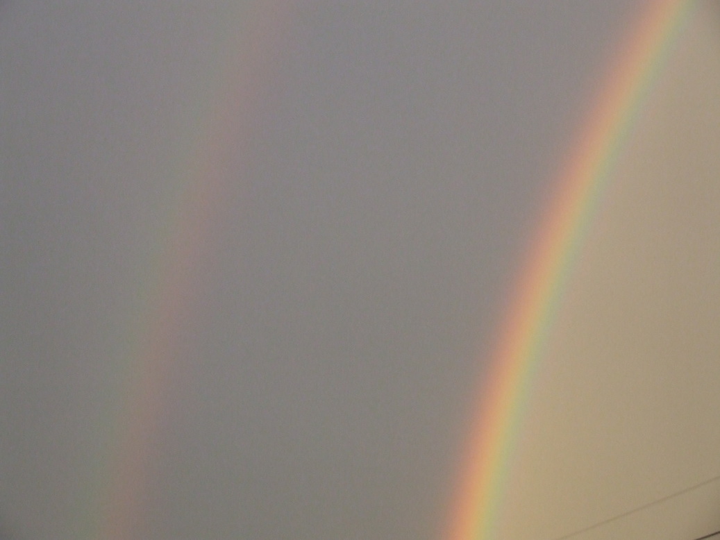 �΂��L�@��z�P�[�u���e���r��