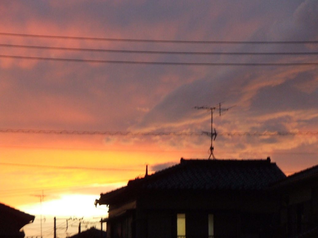 �΂��L�@��z�P�[�u���e���r��