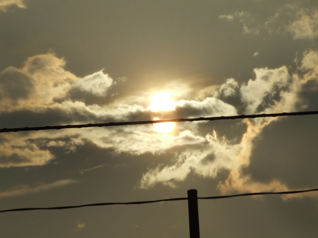 �΂��L�@��z�P�[�u���e���r��