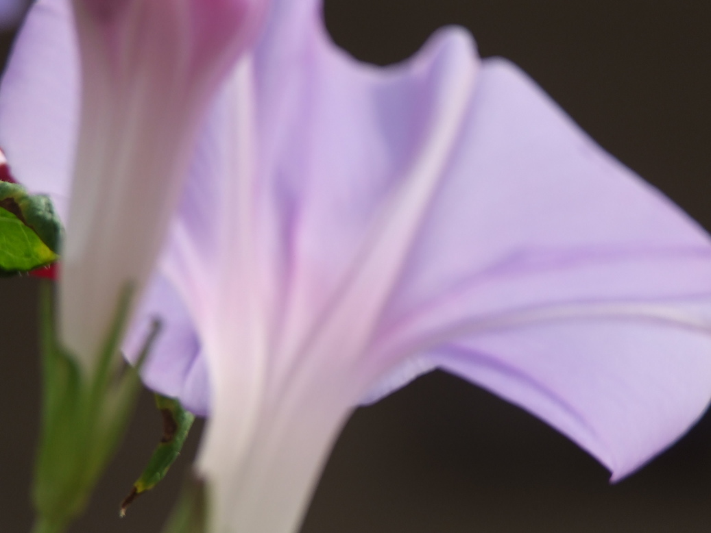 �΂��L�@��z�P�[�u���e���r��