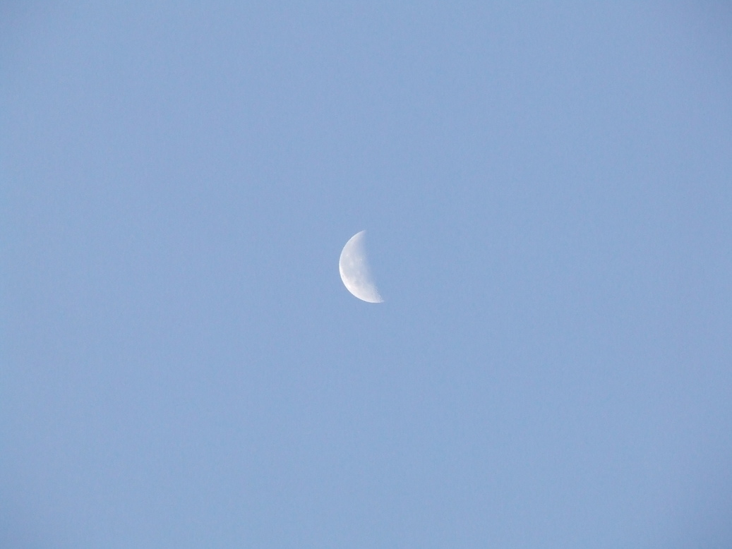 �΂��L�@��z�P�[�u���e���r��