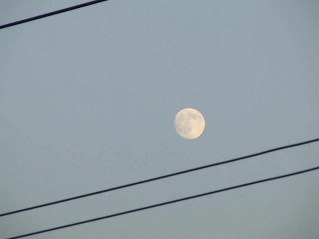 �΂��L�@��z�P�[�u���e���r��