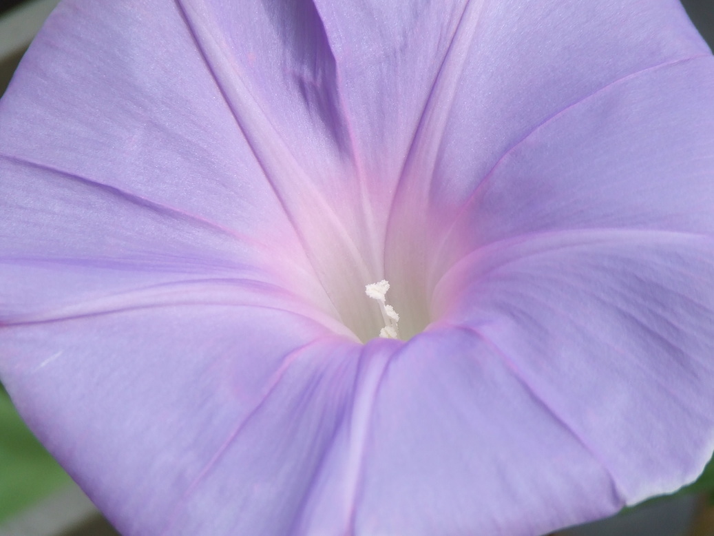 �΂��L�@��z�P�[�u���e���r��