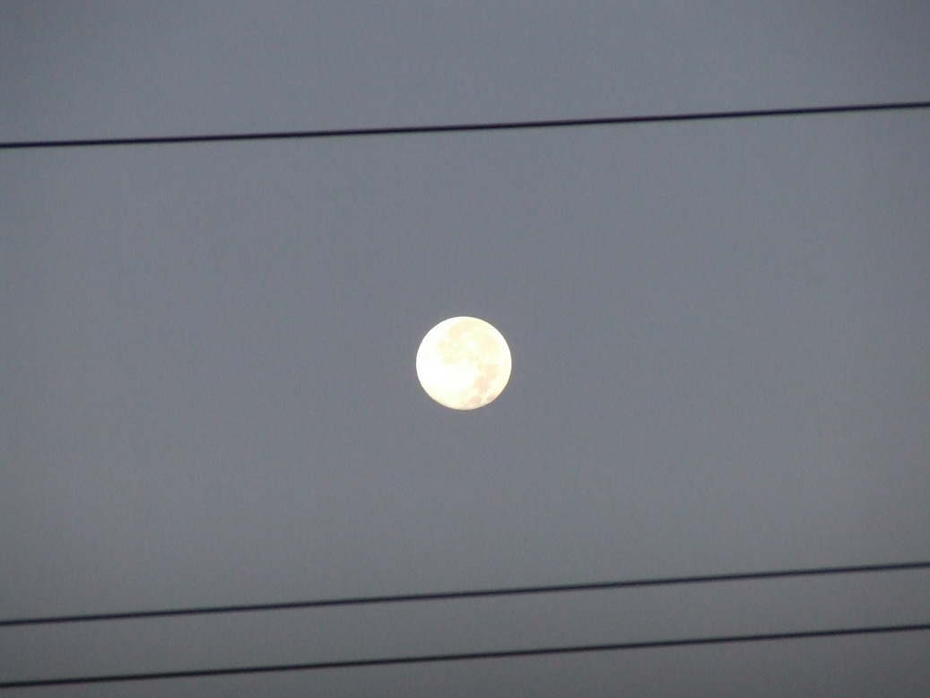 �΂��L�@��z�P�[�u���e���r��