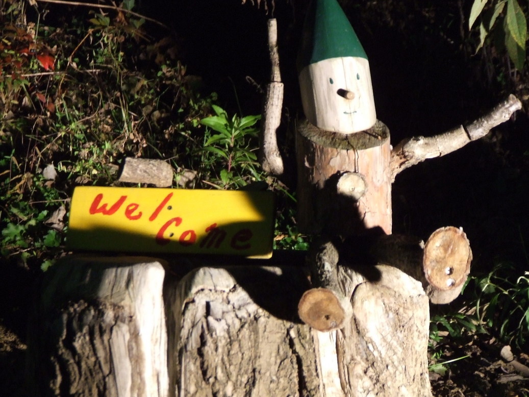 �΂��L�@��z�P�[�u���e���r��