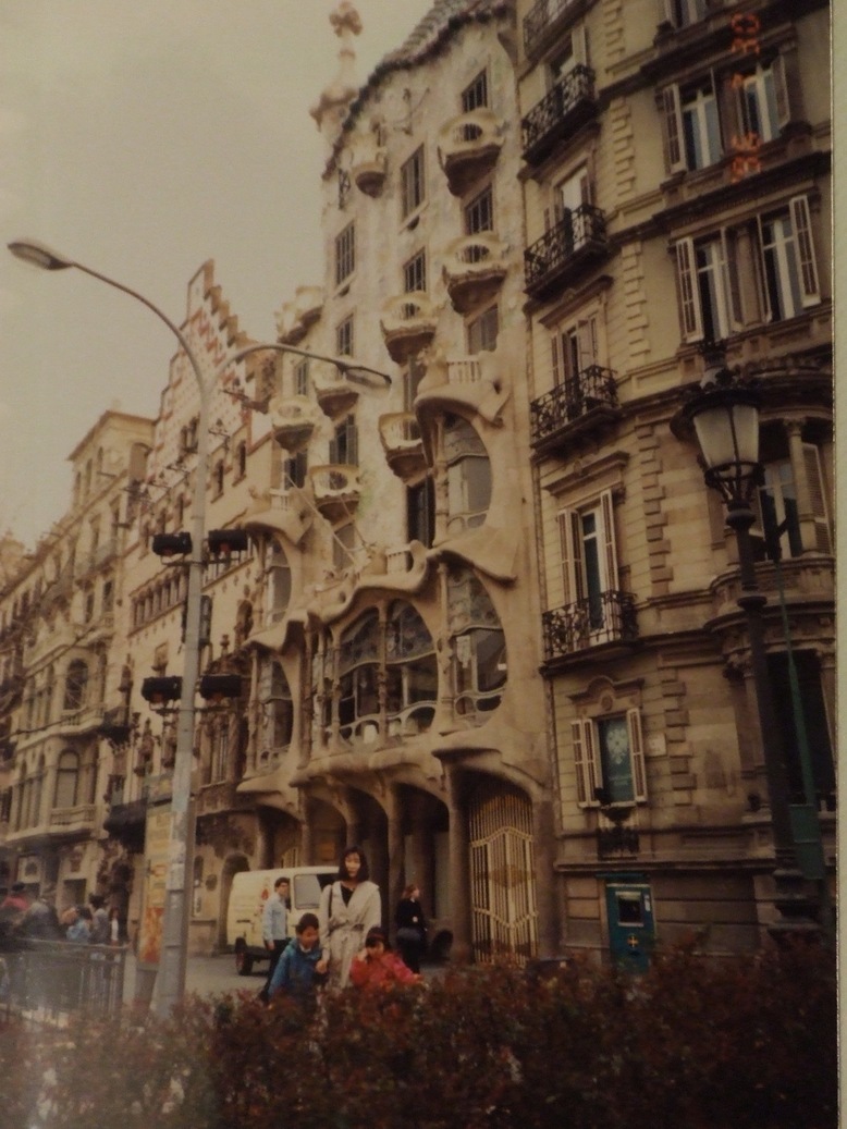 �΂��L�@��z�P�[�u���e���r��