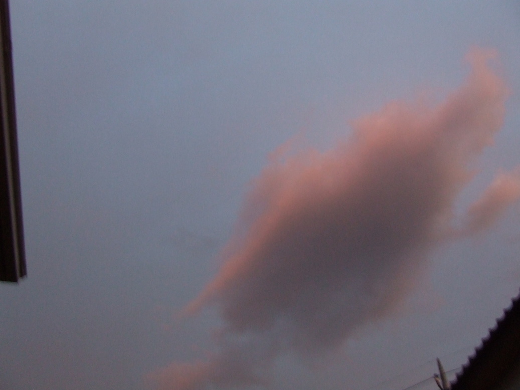 �΂��L�@��z�P�[�u���e���r��