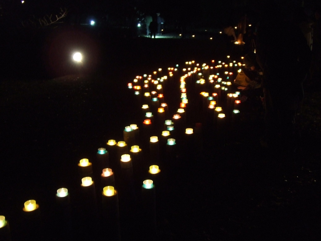 �΂��L�@��z�P�[�u���e���r��