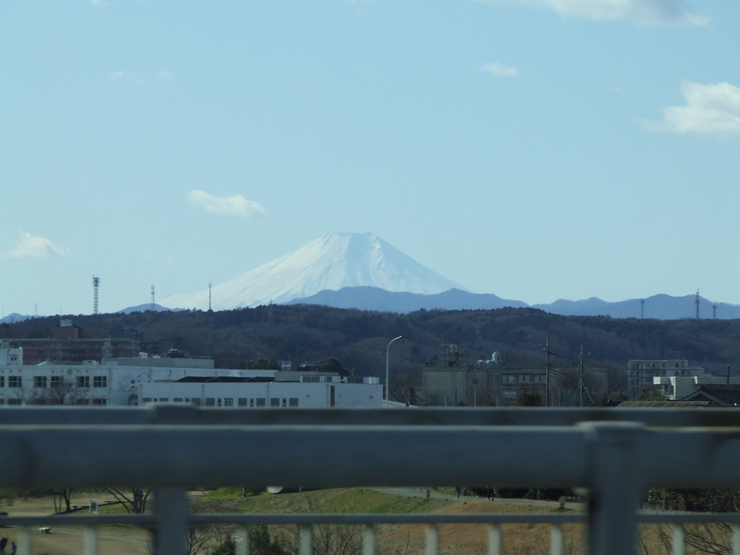 �΂��L�@��z�P�[�u���e���r��