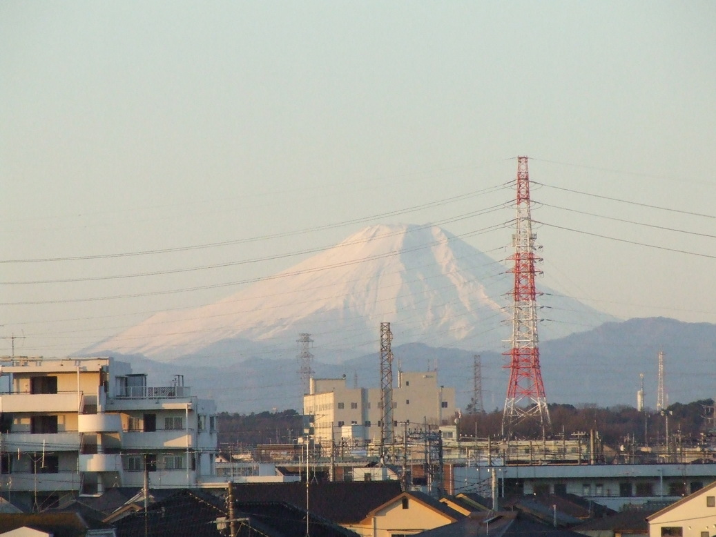 �΂��L�@��z�P�[�u���e���r��