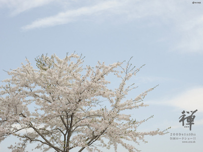 �΂��L�@��z�P�[�u���e���r��